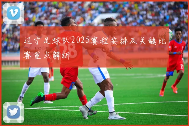 辽宁足球队2025赛程安排及关键比赛重点解析
